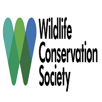 Business Planning Coordinator At Wildlife Conservation Society - NGOJOBPOST