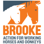 The Brooke Hospital for Animals